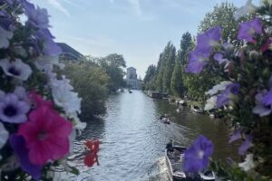 True Beauty Amsterdam