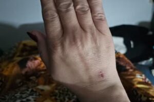 Twinkle – Rotterdam