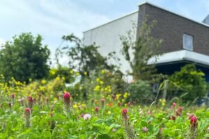 Voetlicht pedicure – manicure – voetreflexzonemassage