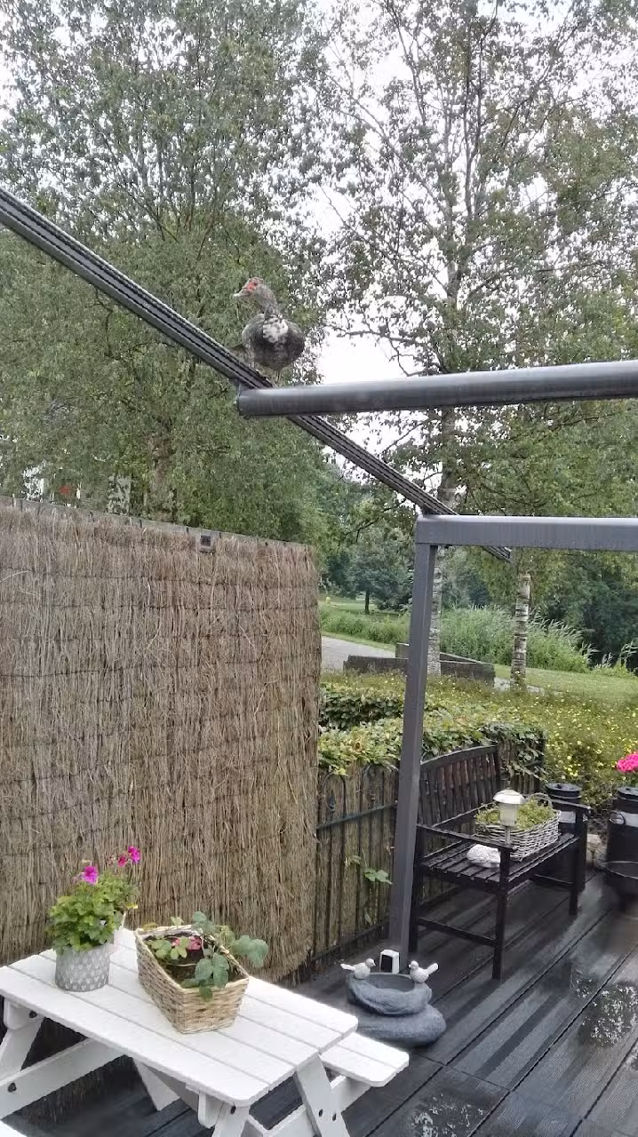 Voetverzorgingspraktijk “Martina”