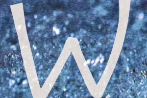 Welmoed Schoonheidsverzorging & Pedicure