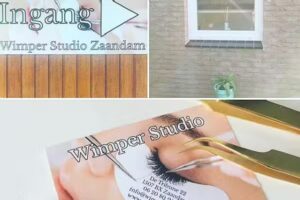 Wimper-studio