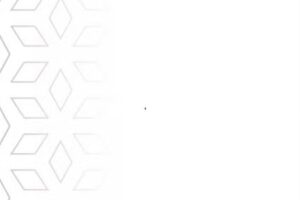 Zidané La maison de beauté